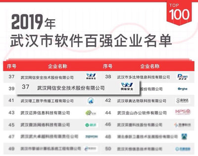 再创新篇 网信安全荣登武汉软件百强企业榜，引领网络与信息安全软件开发新浪潮